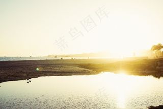 街道,天空,风景,树,轿车,海海岸太阳阳光