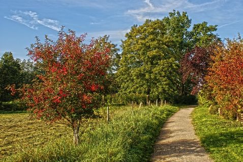 远足，徒步，春季，风景，海滨长廊