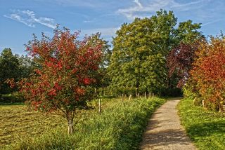 远足，徒步，春季，风景，海滨长廊