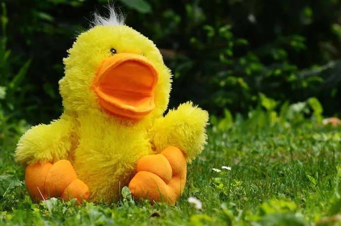 鸭，滑稽，毛绒玩具，玩具，儿童，草地，可爱