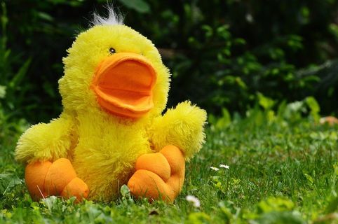 鸭，滑稽，毛绒玩具，玩具，儿童，草地，可爱