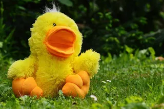 鸭，滑稽，毛绒玩具，玩具，儿童，草地，可爱
