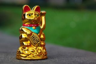 招财猫，挥舞着猫，招财猫，波，幸运符