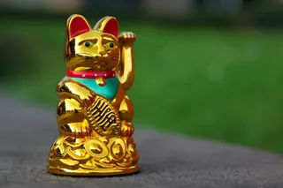 招财猫，挥舞着猫，招财猫，波，幸运符