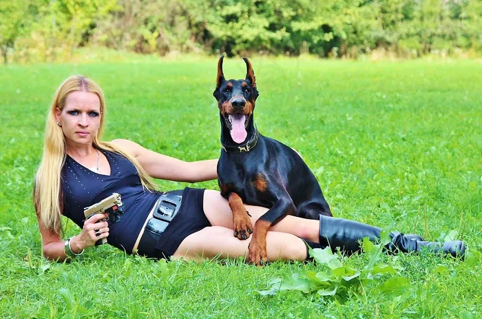 武器，杜宾犬，狗，女人，手枪，狩猎，狙击手
