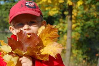 叶子，秋，男孩，儿童，喜悦，公园，叶，性质