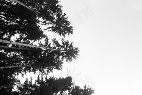 生活，美女，场景，自然，风景，地球，野性