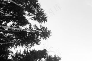 生活，美女，场景，自然，风景，地球，野性