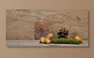 Tannenzapfen，圣诞节，水龙头，松果，青苔，花生