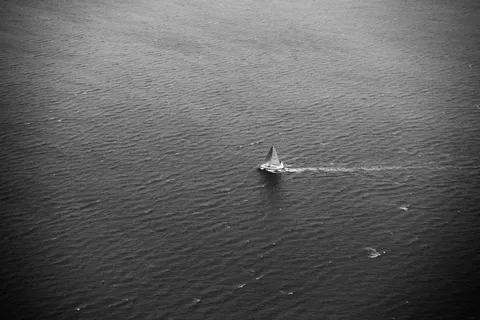 鸟类,虫子,手机饰品,沙发,木舟,海黑白水波 鸟类,虫子,手机饰品,沙发,木舟,海黑白水波