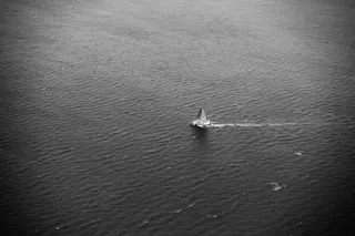 鸟类,虫子,手机饰品,沙发,木舟,海黑白水波