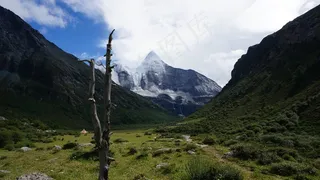 雪山，科，山，香山，草原