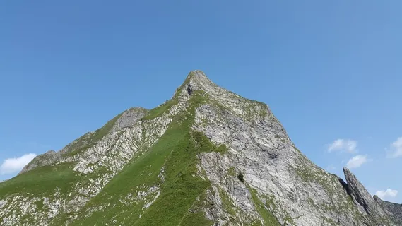霍法茨,阿尔高,格拉斯堡,陡草,阿尔高阿尔卑斯山 霍法茨,阿尔高,格拉斯堡,陡草,阿尔高阿尔卑斯山