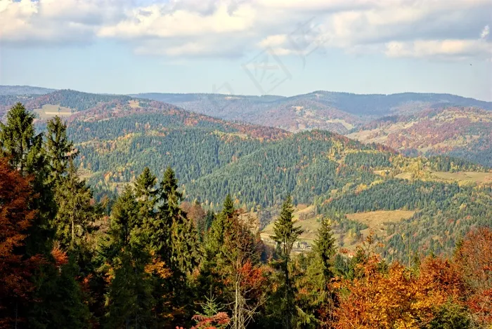 波兰，Pieniny，秋，太阳，颜色，叶子