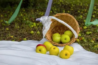 静物，喀山，俄罗斯，Ta斯坦，夏天