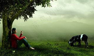 大自然，妇女，牧羊人，草，动物