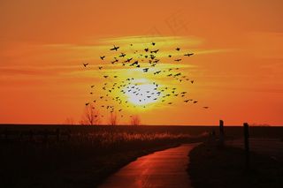 日落，太阳，Abendstimmung，天空，浪漫，傍晚的天空