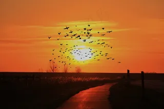 日落，太阳，Abendstimmung，天空，浪漫，傍晚的天空