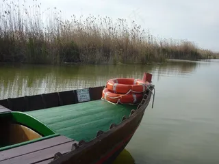 船，湖，水机，独木舟，划船，池塘，景区