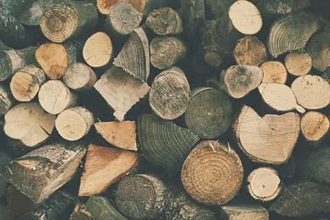 木材，材料，火，烧伤，件，年度，圆环