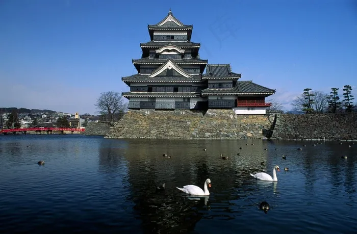 城堡，日本，松本，天鹅，水，景观