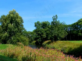 景观，报道，河流，树木，自然，徒步旅行