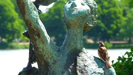 麻雀，鸟，斯珀林，图，雕像，雕塑，女人