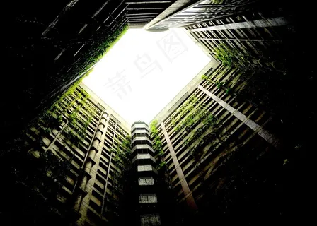 被遗弃，衰变，建筑物，杂草丛生，自然