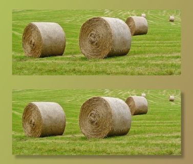 稻草捆，收获，场，干草，农业，草地