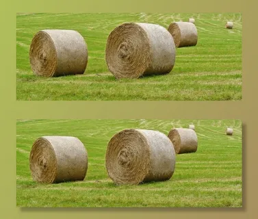 稻草捆，收获，场，干草，农业，草地