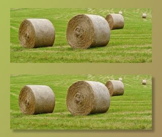 稻草捆，收获，场，干草，农业，草地