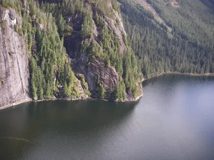 河流，山，森林，植被，针叶树，峡谷