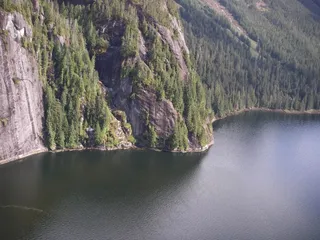河流，山，森林，植被，针叶树，峡谷