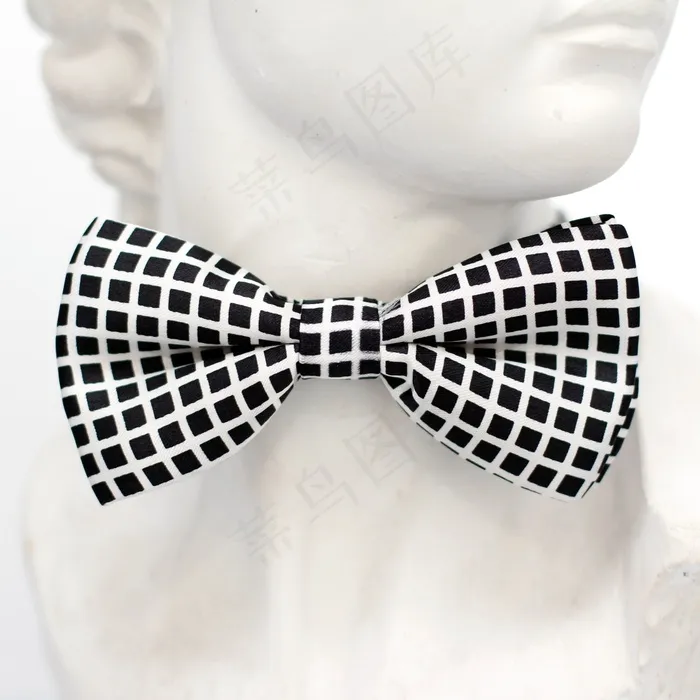 黑色，白色，格仔，飞，领带，循环，时尚，男子