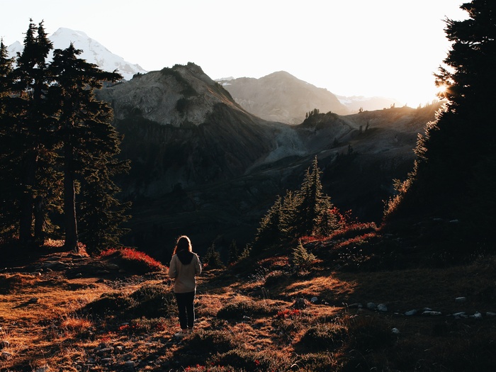 女人，在户外，山，徒步旅行，秋季，秋天