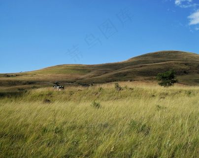 德肯斯伯格，山，草原，草，天空，景观