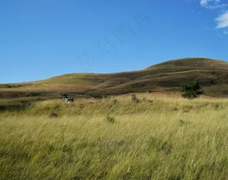 德肯斯伯格，山，草原，草，天空，景观