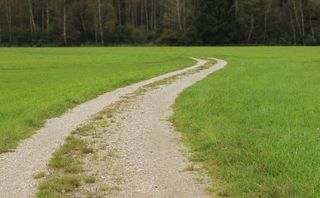 车道，离开，景观，自然，报告，森林，径