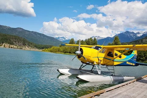 双平面，双平面，小型飞机，黄色，水，飞​​机