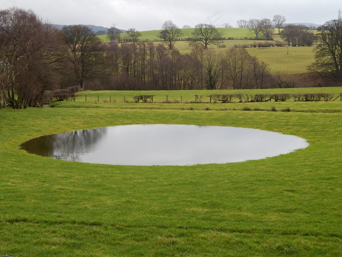 池塘，水，几点思考，公园，自然，风景