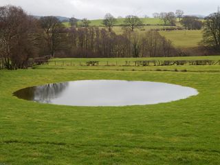 池塘，水，几点思考，公园，自然，风景