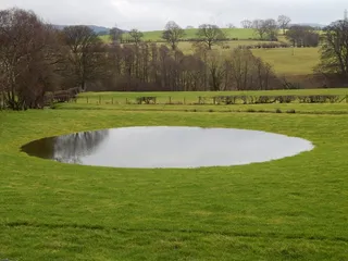 池塘，水，几点思考，公园，自然，风景