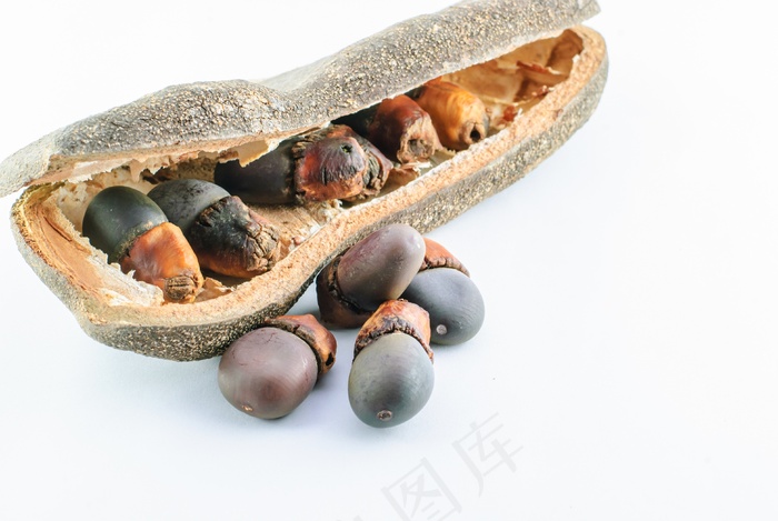 种子，植物，增长，农业，年轻，幼苗