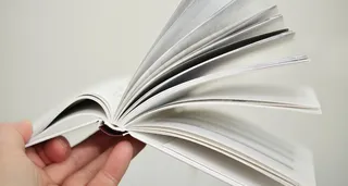 书页，书，叶子，纸，页，阅读，教育