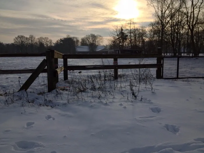 冬天，雪，太阳，背光，雪景，日落