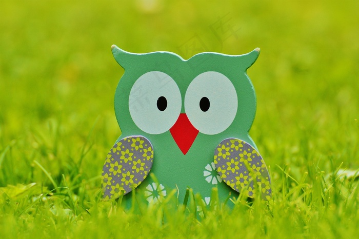 猫头鹰，木，装饰，图，可爱，装饰，颜色，鸟