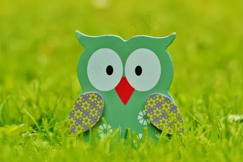 猫头鹰，木，装饰，图，可爱，装饰，颜色，鸟