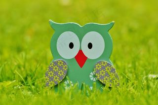 猫头鹰，木，装饰，图，可爱，装饰，颜色，鸟