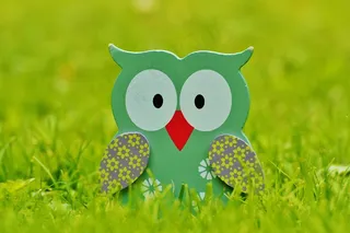 猫头鹰，木，装饰，图，可爱，装饰，颜色，鸟