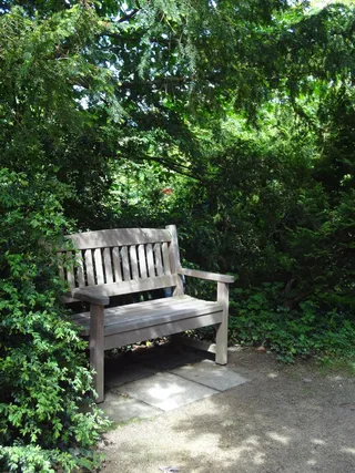 银行，坐下，休息，恢复